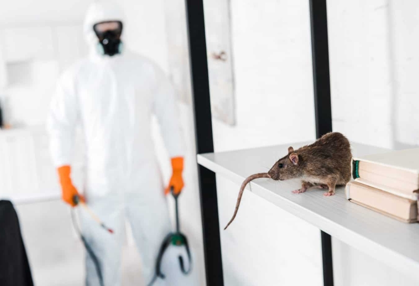 rodent control services near Hyderabad